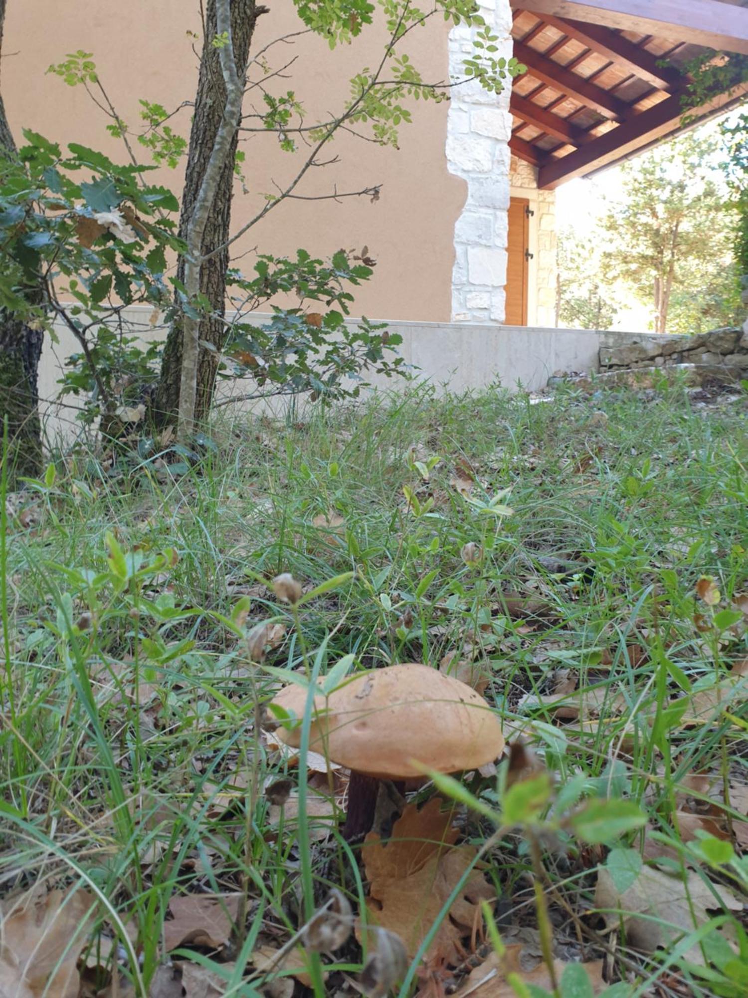 Villa Valeria Divsici ภายนอก รูปภาพ